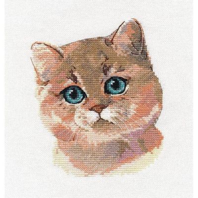 British Shorthair Cat 1326 Oven Counted Cross Stitch Kit Image 1