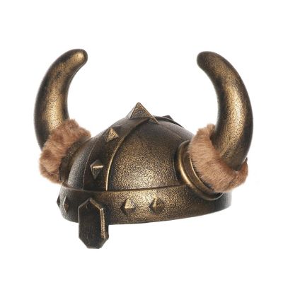 Bronze Viking Helmet Adult Costume Accessory Image 1