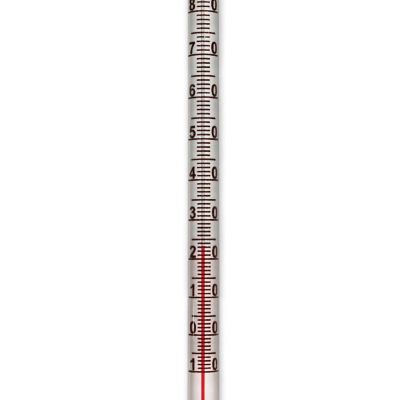 Carolina Biological Supply Company Red Spirit-Filled Partial Immersion 6" Thermometer ( -10 to 110 C) Image 1
