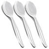 Clear Disposable Plastic Serving Spoons (110 Spoons) Image 1