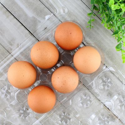 Clear Plastic Egg Cartons (20-Pack); Tri-Fold Containers for One Dozen Eggs Image 3