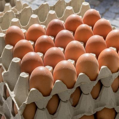 Cornucopia 30-Count Egg Flats (18 Trays); Biodegradable Recycled Material Chicken Egg Cartons, Each Holds 30 Eggs Image 2