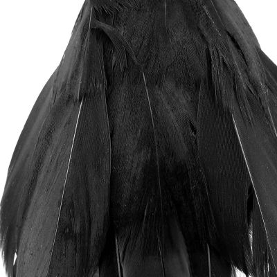 Cornucopia 4in Black Crows (6 Pack); Imitation Artificial Birds/Ravens for Halloween Decorations, Haunted House & Fall Seasonal Displays Image 1