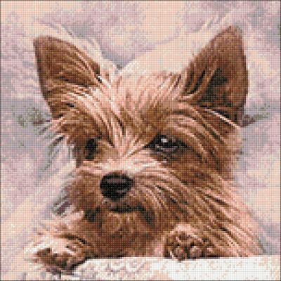 Crafting Spark (Wizardi) - Fluffy Friend CS2307 15.8 x 15.8 inches Crafting Spark Diamond Painting Kit Image 1