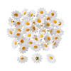 Daisy Flower Tossers - 50 Pc. Image 1