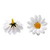 Daisy Flower Tossers - 50 Pc. Image 1