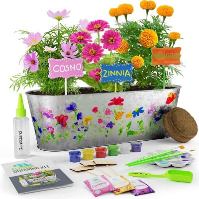 Dan&Darci - Paint & Plant Flower Growing Kit for Kids Image 1