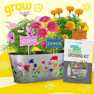 Dan&Darci - Paint & Plant Flower Growing Kit for Kids Image 3
