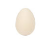 DIY Ceramic Eggs - 12 Pc. Image 1