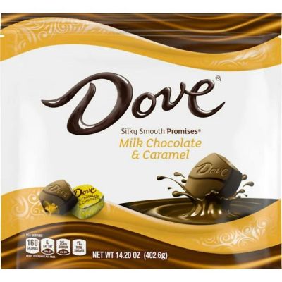 Dove Promises Milk Chocolate Caramel Candy - 14.2 oz Bag Image 1