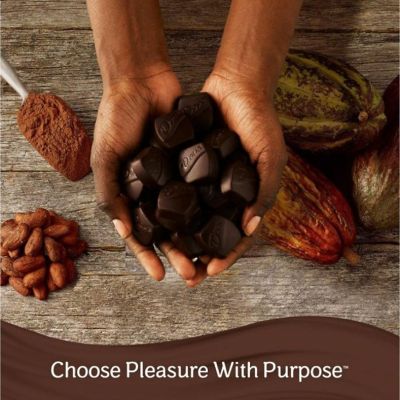 Dove Promises Peanut Butter & Dark Chocolate Candy - 7.61 oz Bag Image 2