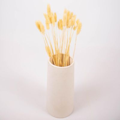 Dried Bleached Canary Grass Small Pack Image 1