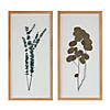 Dried Eucalyptus Frame (Set Of 2) 14"L X 27.5"H Wood/Paper Image 1