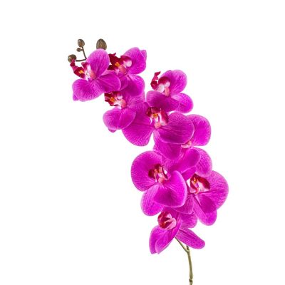 Faux Scented Purple Orchid - A Symphony of Elegance and Fragrance by Fiori Sempre Image 2