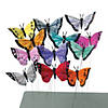 Feather Butterflies - 12 Pc. Image 1