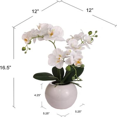 Floral Home 16.5" White Ceramic Vase 1pc Image 1