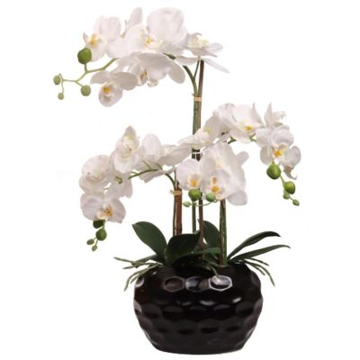 Floral Home White 20.5" Orchid Flower in Black Vase 1pc Image 1