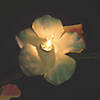 Flower Lei Garland String Lights Image 2