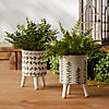Footed Foliage Print Planter  (Set Of 2) 4"D X 6"H Dolomite Image 3