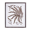 Framed Fern Print (Set Of 6) 19.75"L X 23.75"H Wood/Paper Image 4