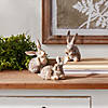Garden Rabbit (Set Of 3) 3.75"H, 5"H, 5.25"H Resin Image 4