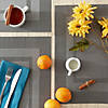 Gray Pvc Doubleframe Placemat (Set Of 6) Image 3
