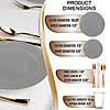 Gray with Gold Organic Round Disposable Plastic Dinnerware Value Set (20 Settings) Image 1
