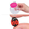 Insect Desk Pet with Home Kit for 24 Image 1