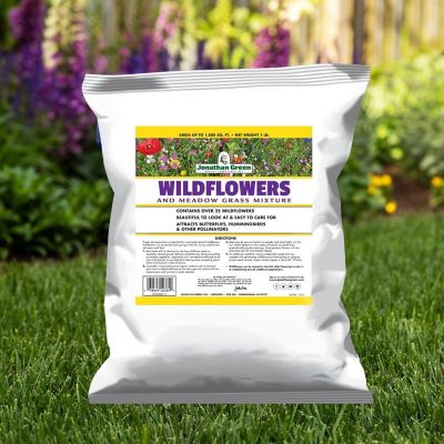 Jonathan Green Wildflower and Meadow Mix Seed 1lb Image 3