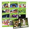 Junior Learning Letters & Sounds Phase 4 Set 2 Non-Fiction Image 1