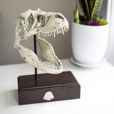 Jurassic World 9x8 Inch Tyrannosaurus Rex Skull Resin Replica Image 3