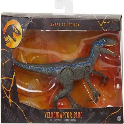 Jurassic World Amber Collection 6 Inch Action Figure  Velociraptor Blue Image 2