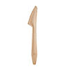 Kaya Collection 6.5" Natural Birch Eco-Friendly Disposable Dinner Knives (600 Knives) Image 1