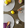 Light Gray Round Pp Woven Placemat (Set Of 6) Image 4