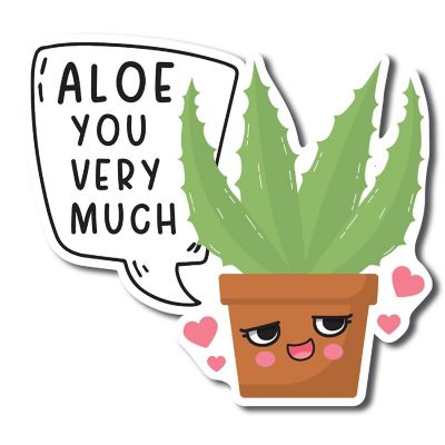 Magnet Me Up Aloe You Very Much Cute Funny Plant Succulent Magnet Decal, 5 inches, Heavy Duty Automotive Magnet For Car Truck SUV Or Any Other Magnetic Surface Image 1