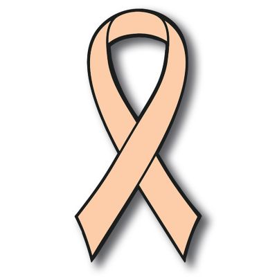 Magnet Me Up Support Uterine Cancer Awareness Peach Ribbon Magnet Decal, 3.5x7 Inches Heavy Duty Automotive Magnet for Car Truck SUV Image 1