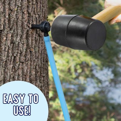 Maple Syrup Tree Tapping and Sugaring Starter Kit Pack- Value Pack 10 Taps and 10 3-ft Food Grade Tubing Drop Lines - Complete Set for Experts or Beginners to S Image 3