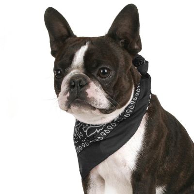 Mechaly Pack of 8 Paisley Cotton Dog Bandana Triangle Shape  - Fits Most Pets (Black) Image 1
