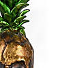 National Tree Company 14 in. Halloween Pineapple Skull Tabletop D&#233;cor Image 2