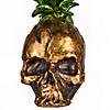National Tree Company 14 in. Halloween Pineapple Skull Tabletop D&#233;cor Image 3