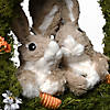 National Tree Company 15" Wreath with 2 Rabbits in Center Image 3