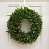 National Tree Company 24" Artificial Arborvitae Christmas Wreath, Rustic Style D&#233;cor Image 1