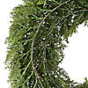 National Tree Company 24" Artificial Arborvitae Christmas Wreath, Rustic Style D&#233;cor Image 2