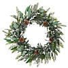National Tree Company 24" Mixed Leaf Christmas Wreath Image 1