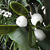 National Tree Company 24" Mixed Leaf Christmas Wreath Image 3