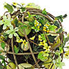 National Tree Company 26" Topiary Ball in a Urn with Eggs, Daffodils & Berries Image 2