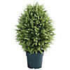 National Tree Company 32" Cypress Tree in Dark Green Round Growers Pot Image 1