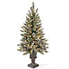 National Tree Company 4 ft. Pre-Lit Artificial Christmas Entrance Tree, Glittery Bristle Pine with Twinkly LED Lights, Plug in Image 1