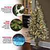 National Tree Company 4 ft. Pre-Lit Artificial Christmas Entrance Tree, Glittery Bristle Pine with Twinkly LED Lights, Plug in Image 4