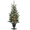 National Tree Company 4 ft. Pre-Lit Artificial Christmas Entrance Tree, Snowy Morgan Spruce with Twinkly LED Lights, Plug in Image 1